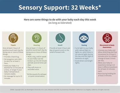 Serial neuroimaging of brain growth and development in very preterm infants receiving tailored neuropromotive support in the NICU. Protocol for a prospective cohort study